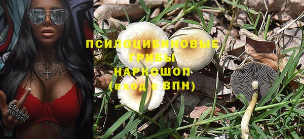 spice Балабаново